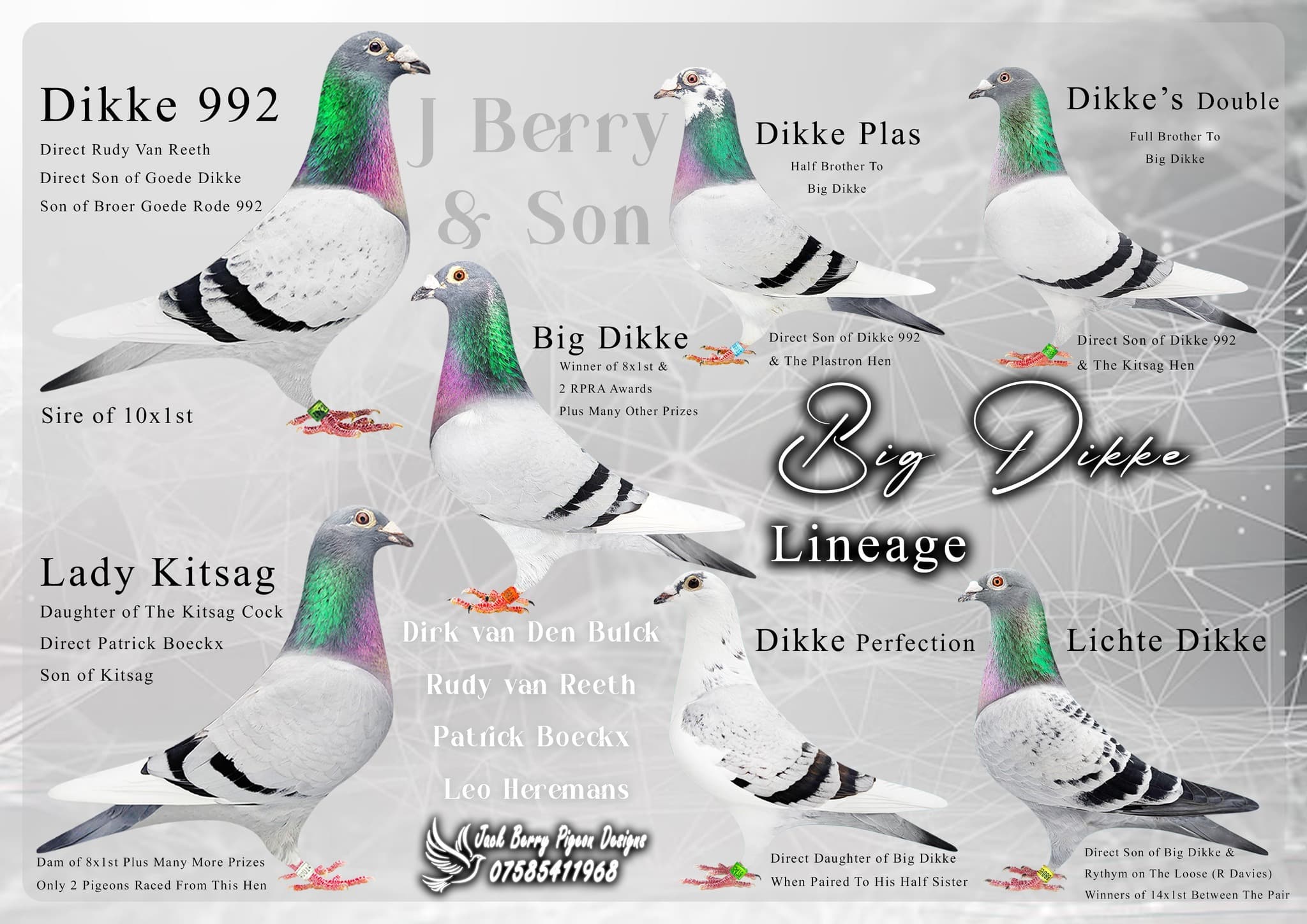 Big Dikke lineage pedigree chart